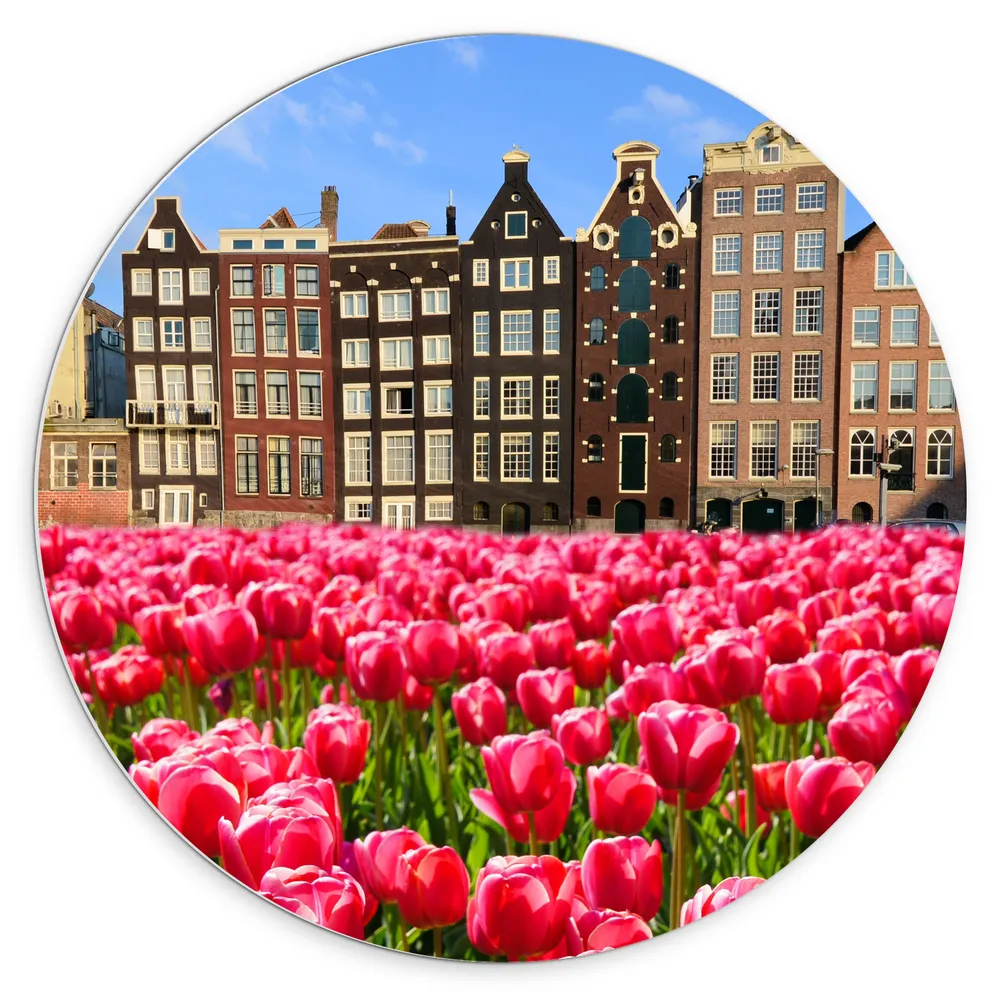 Dibond Muurcirkel - Roze Tulpenveld voor Rij Grachtenpanden in Amsterdam, Nederland