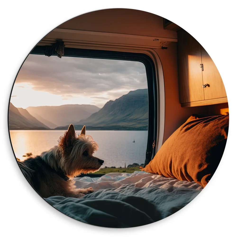 Dibond Muurcirkel - Puppy Liggend op Bed in Camper met Uitzicht op Meer