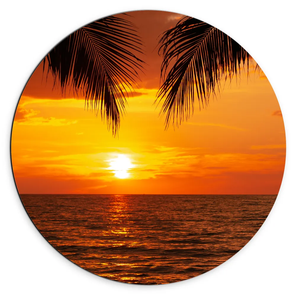 Dibond Muurcirkel - Palmbladeren bij Opkomende Zon bij de Zee