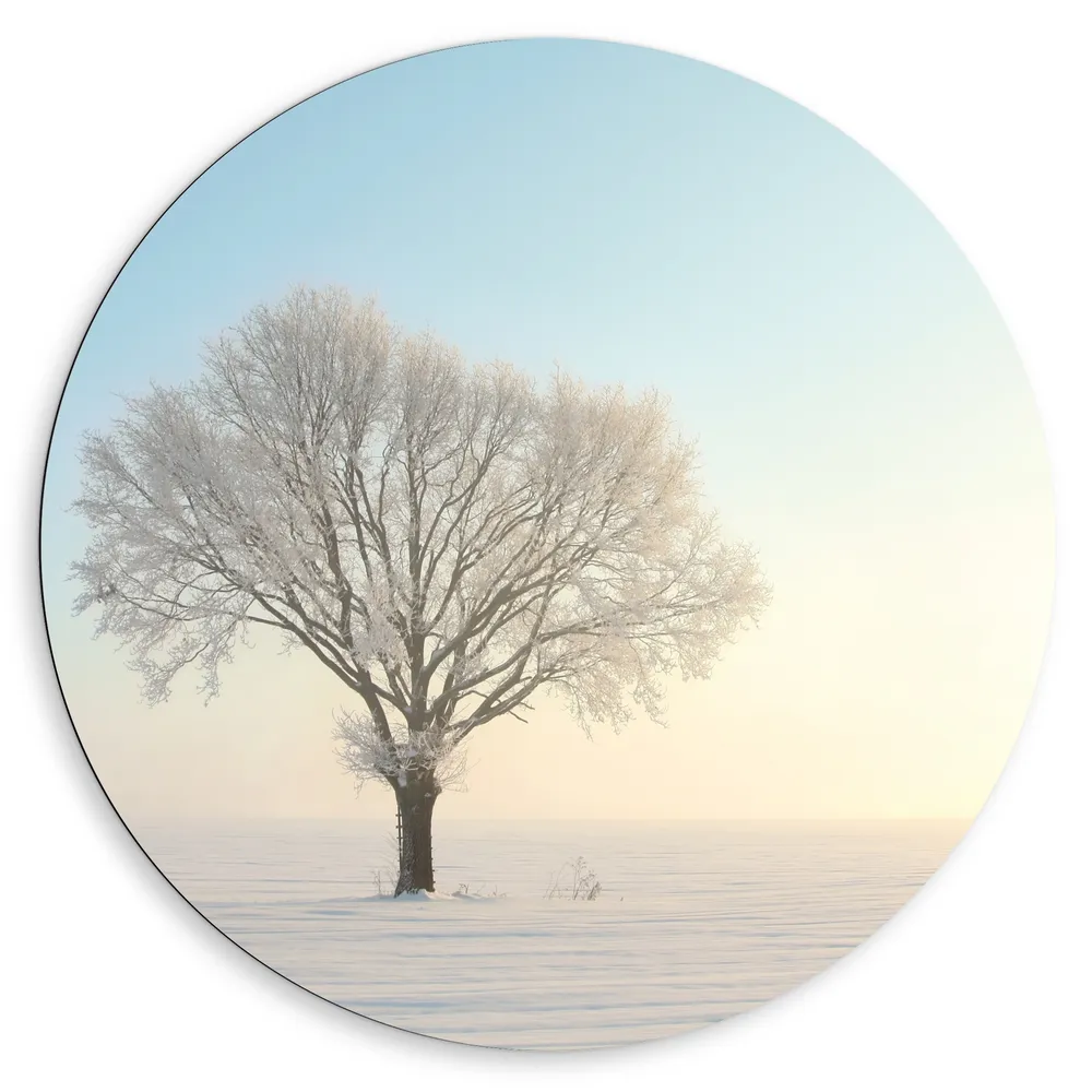 Dibond Muurcirkel - Enkele Boom in de Winter met Bevroren Takken en Besneeuwde Omgeving