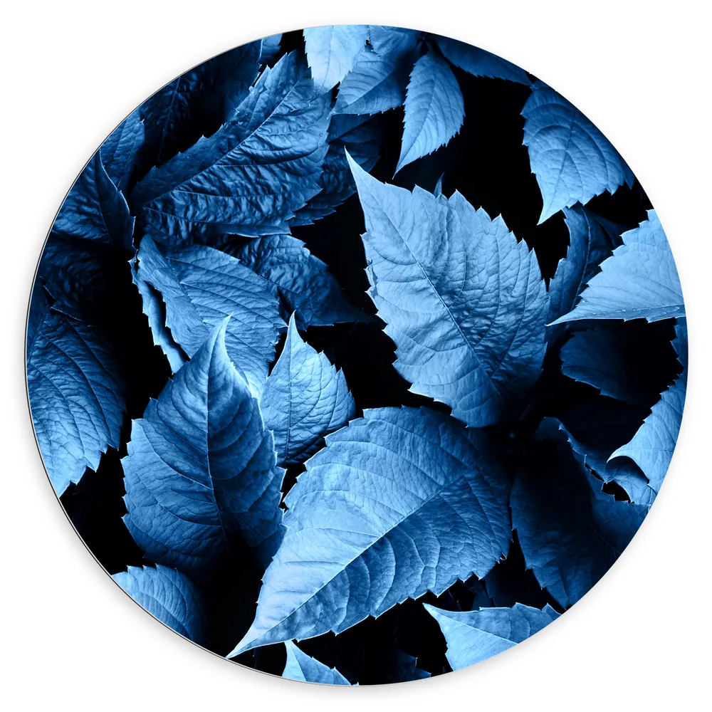 Dibond Muurcirkel - Struiken vol Blauwkleurige Planten