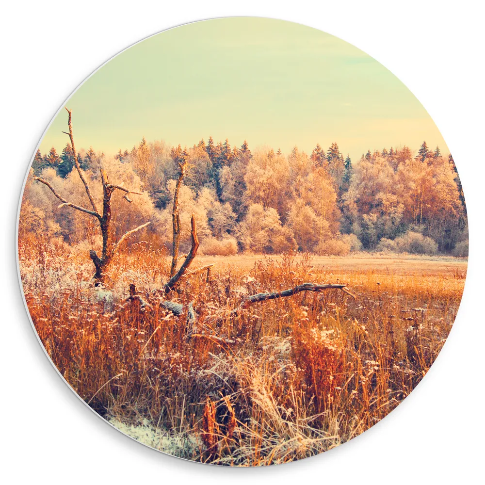 Dibond Muurcirkel - Landschap van Bomen in Beige Kleuren