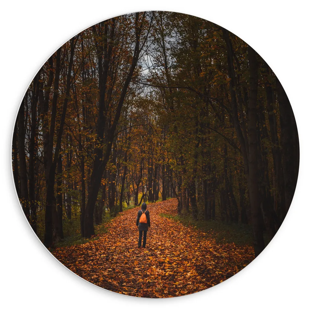 Dibond Muurcirkel - Vrouw - Bos - Pad - Lopen - Bomen - Bladeren - Herfst