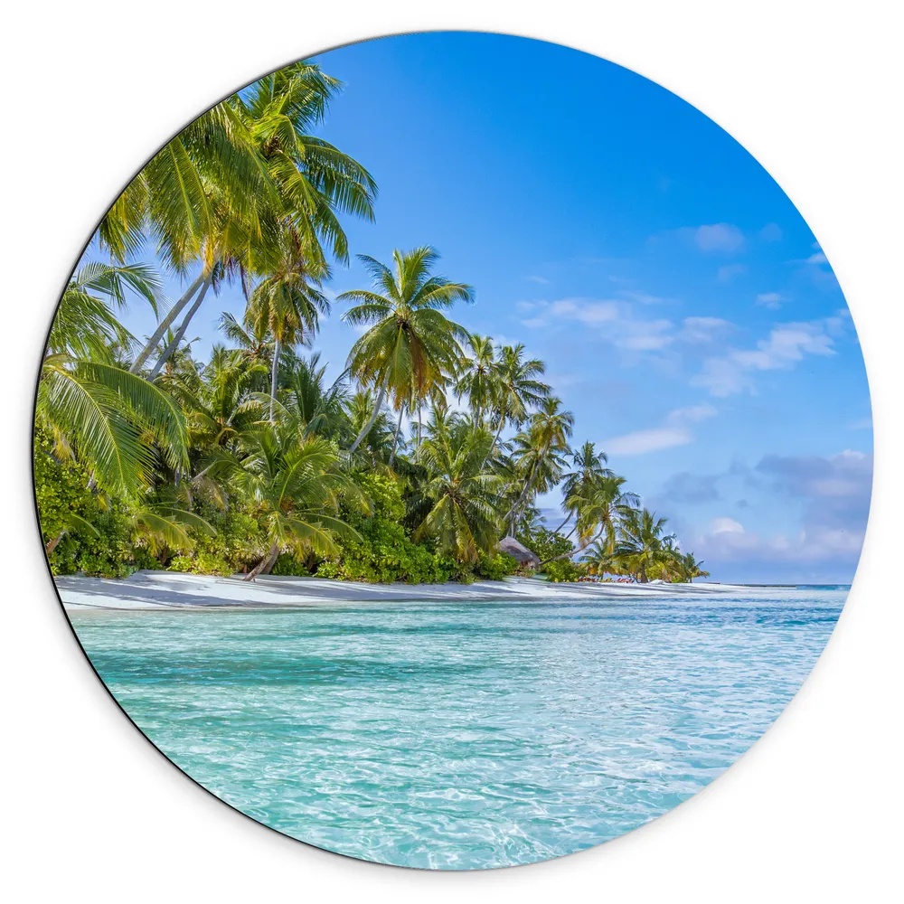Dibond Muurcirkel - Tropisch Strand met Palmbomen