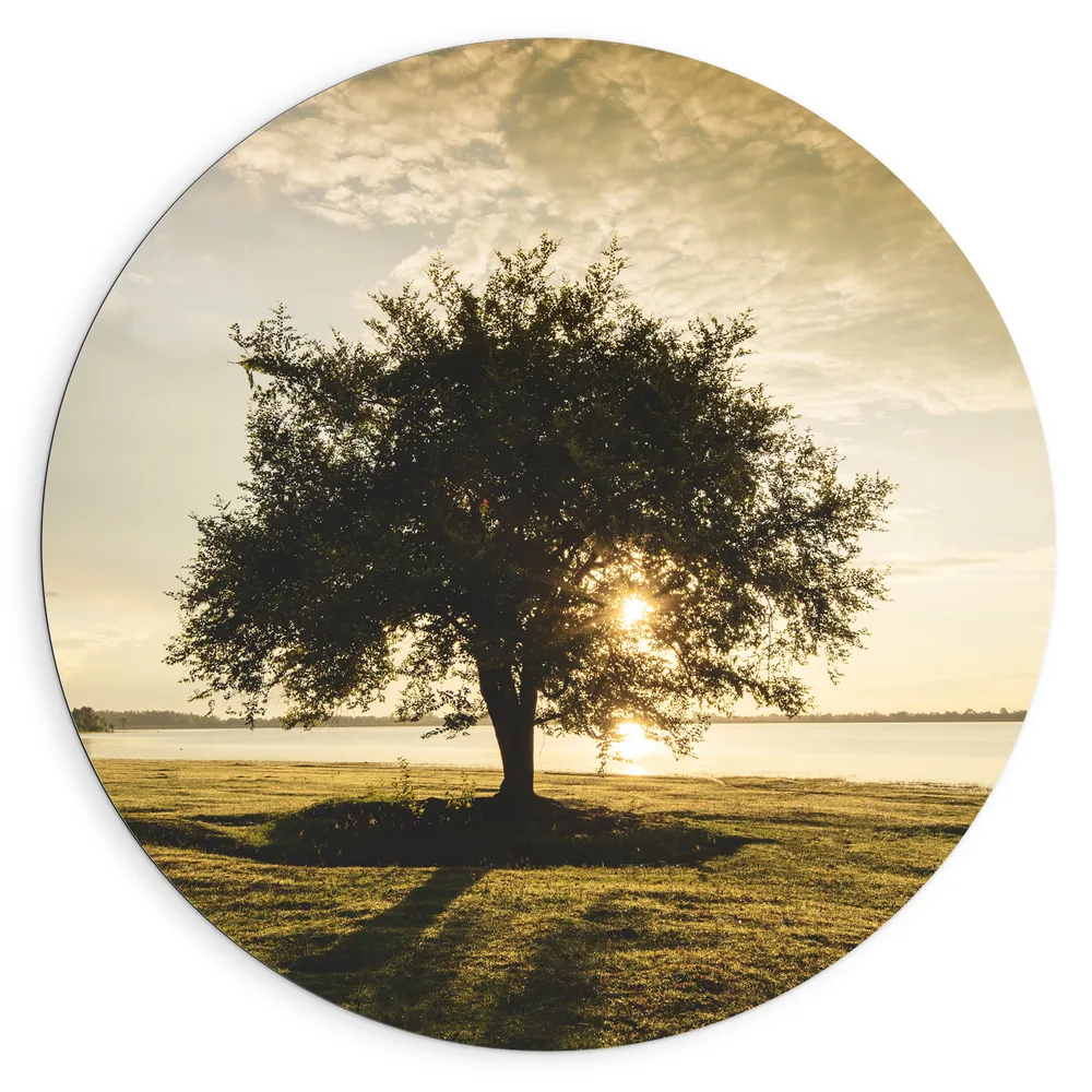 Dibond Muurcirkel - Boom - Landschap - Meer - Zon - Water