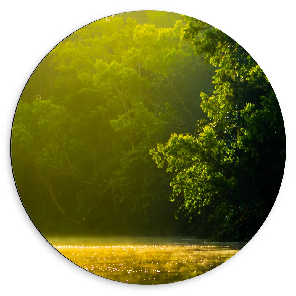 Dibond Muurcirkel - Struiken aan de Rand van het Bos
