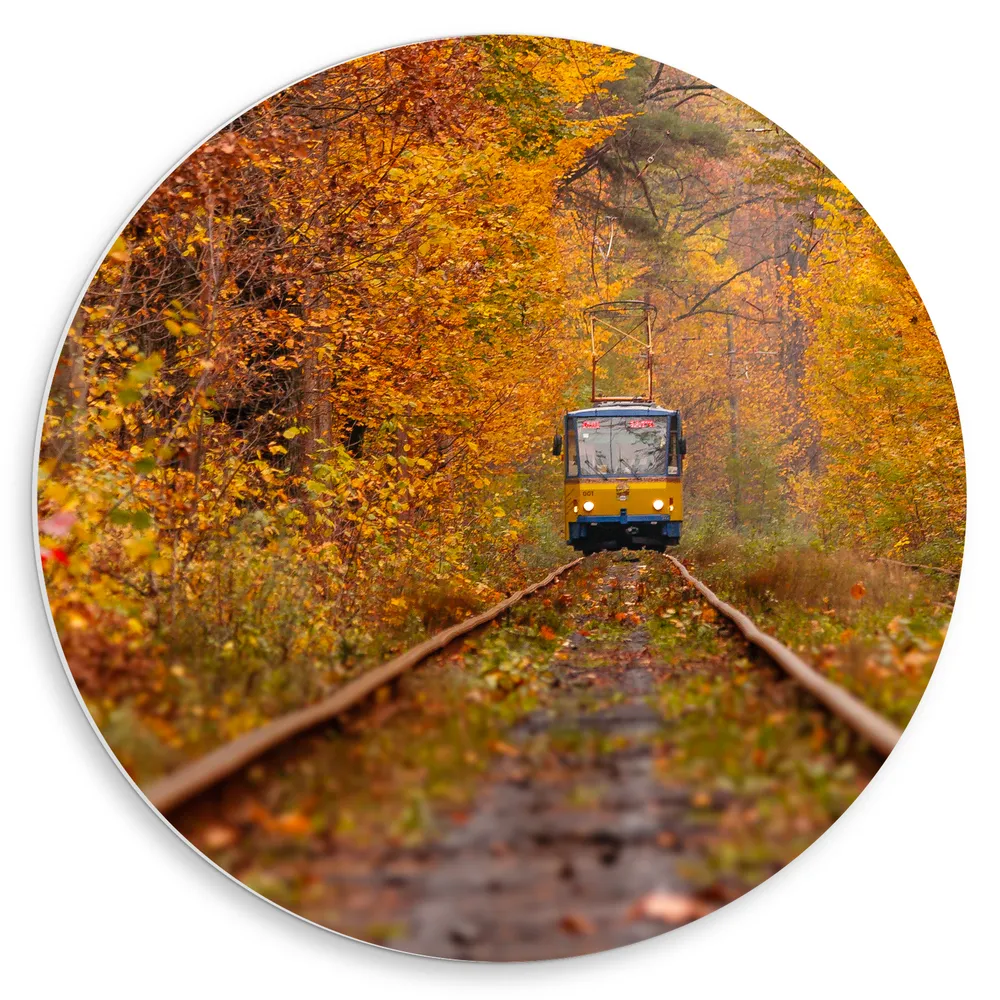 Dibond Muurcirkel - Tram - Bossen - Bomen - Spoor - Bladeren - Herfst