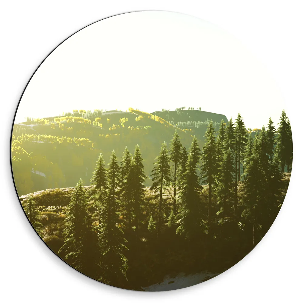 Dibond Muurcirkel - Bergen - Bomen - Sneeuw - Groen - Zon