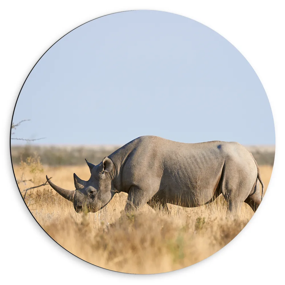 Dibond Muurcirkel - Neushoorn in het National park Etosha