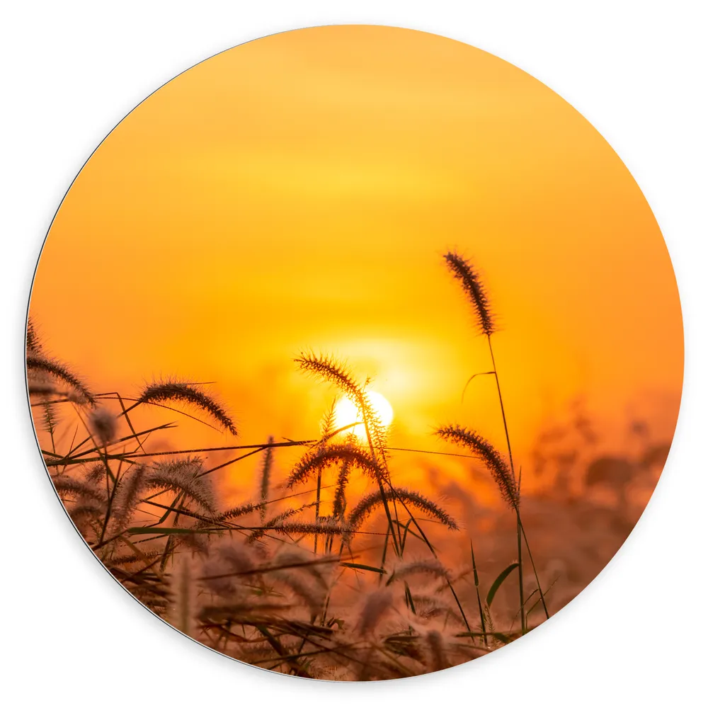 Dibond Muurcirkel - Zonsondergang door Hoge Grassprieten
