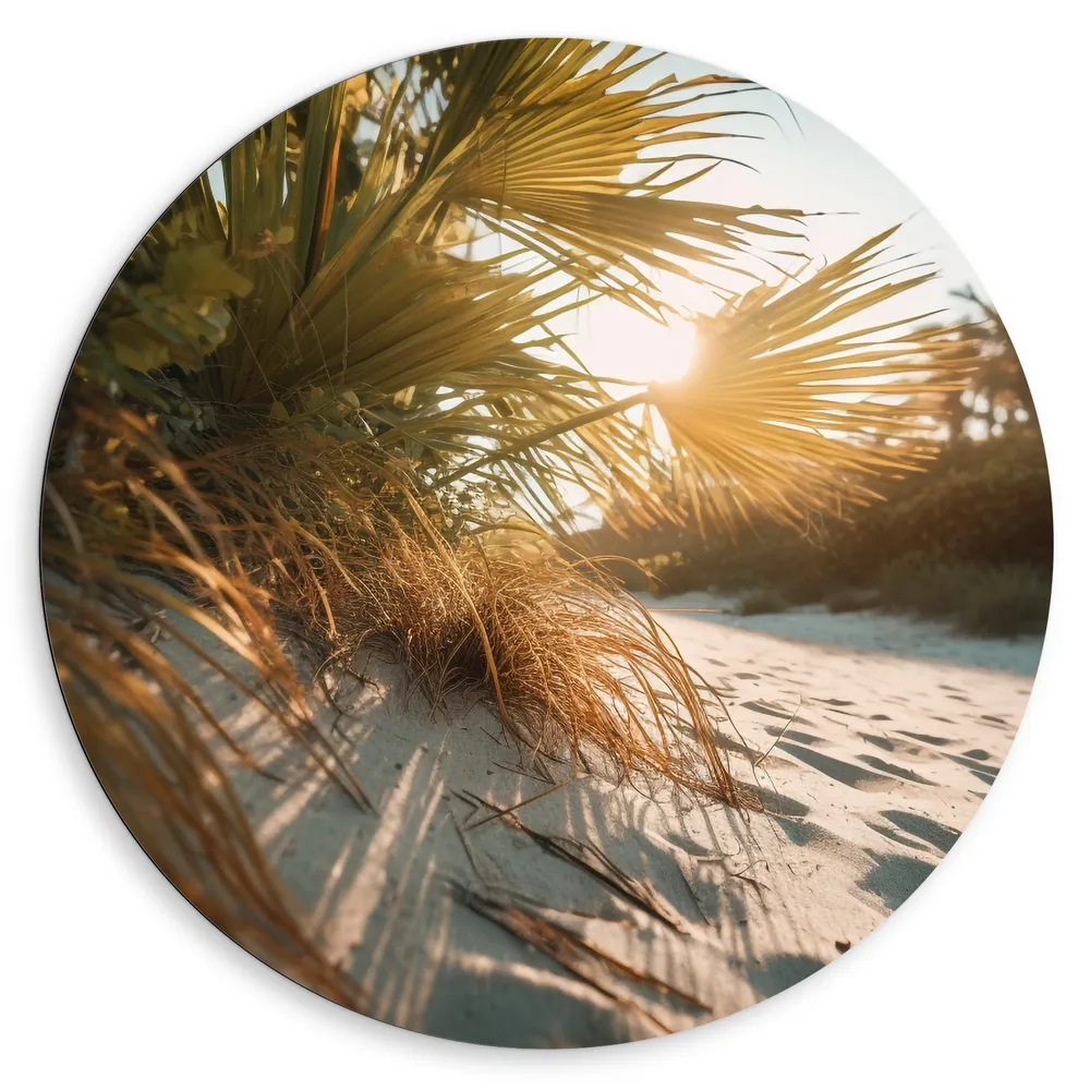 Dibond Muurcirkel - Zon - Palmbomen - Planten - Zand